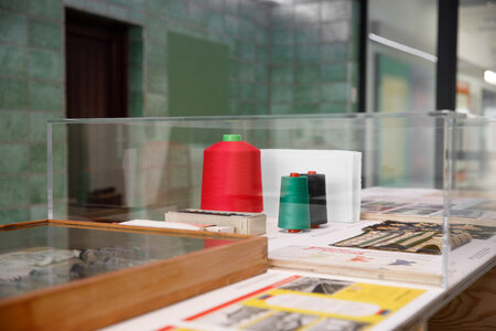 Die Schautafeln zur alten Baumwolle werden bald in einer Dauerausstellung ihren Platz finden Foto: Barbara Proschak